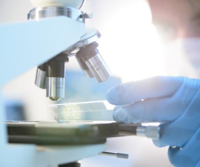 实验室油浴材料  电子油浴耐温材料